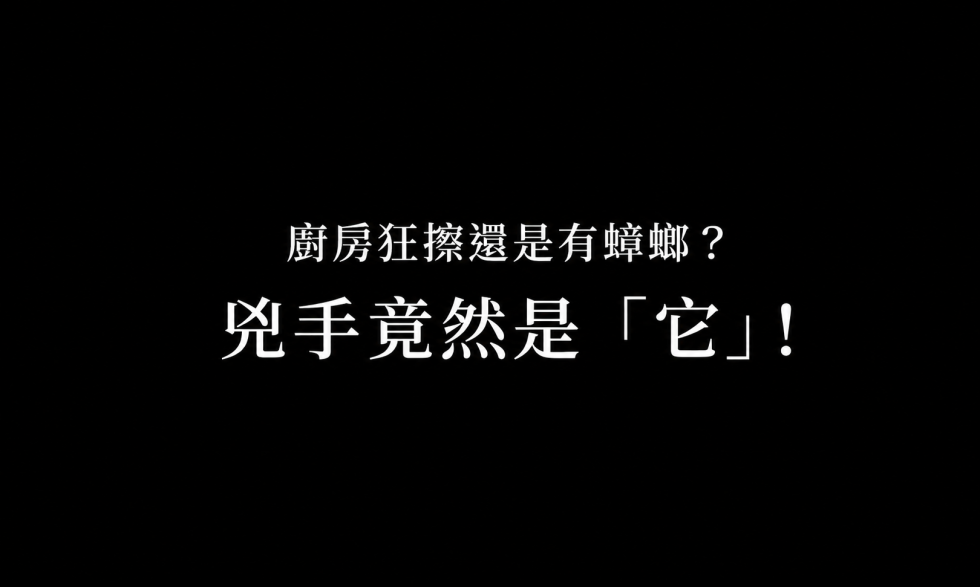 廚房有蟑螂，真的只是因為不夠乾淨？